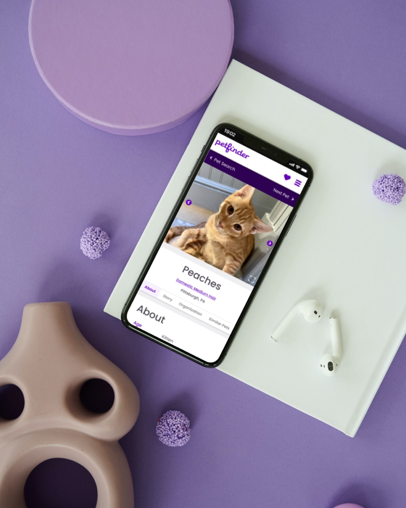 iPhone displaying petfinder profile page mockup